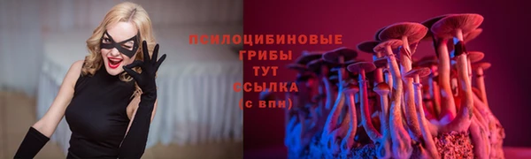марки lsd Алзамай