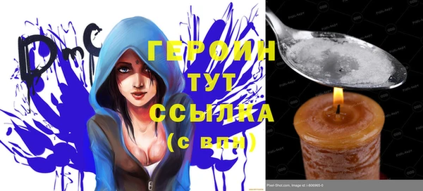 СК Алексин