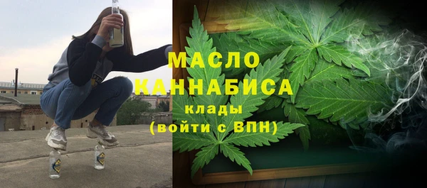 СК Алексин