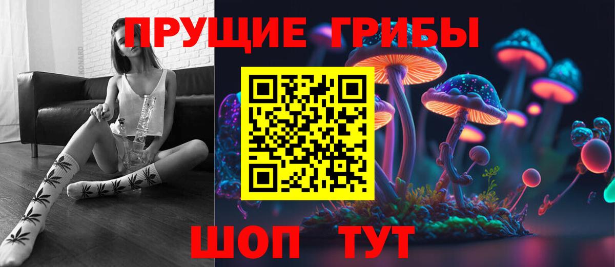 Псилоцибиновые грибы Psilocybine cubensis  Вход с VPN  Тосно 